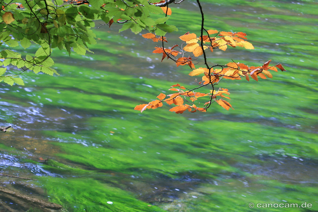 Herbststimmung