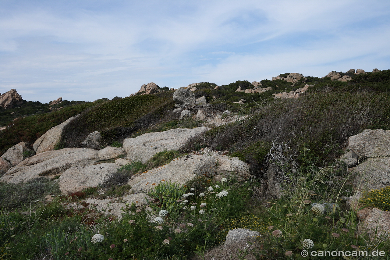 Granitfelsen mit Macchia