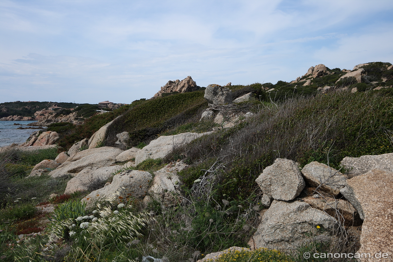 Mediterane Vegetation