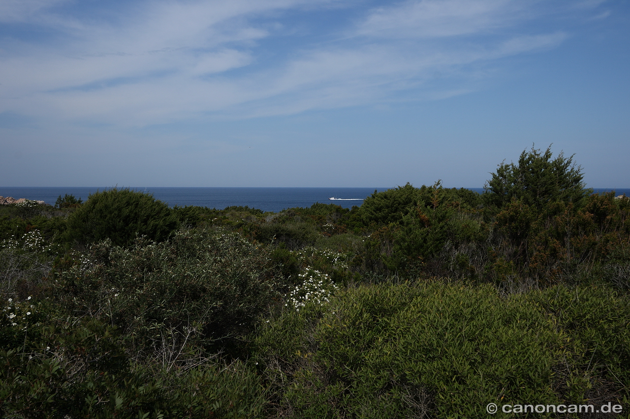 Macchia-Landschaft