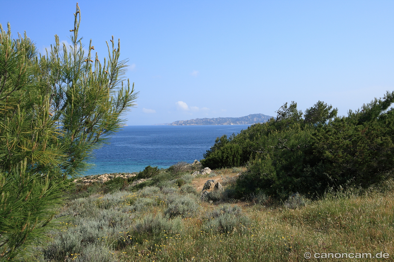 Macchia-Landschaft bei Porto Pollo