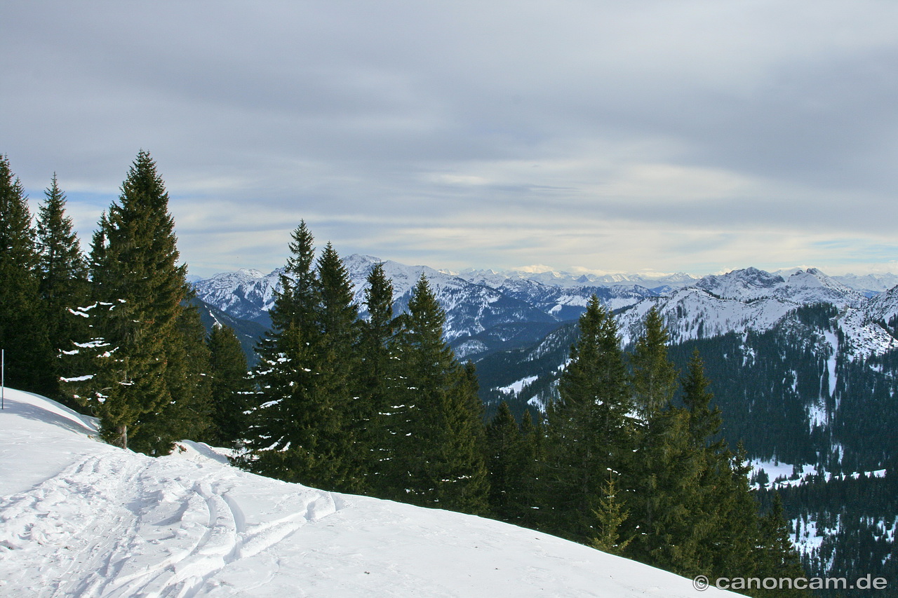 Tannen am Tegernsee