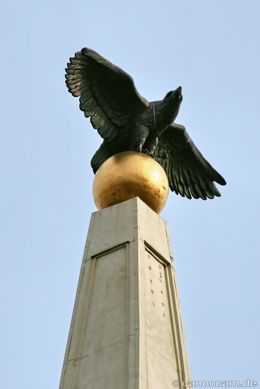 Adler auf dem New York Haus